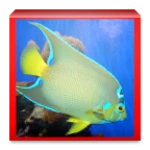 Logo of Aquarium and Fishes android Application 